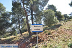 Bij Atsitsa | Skyros Griekenland foto 9